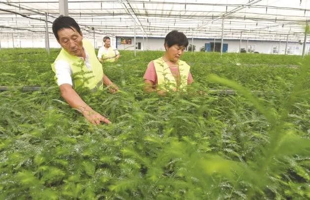 油煙凈化器，油煙凈化設(shè)備，油煙凈化機(jī)