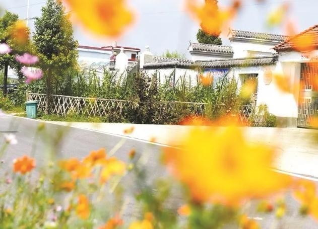 油煙凈化器，油煙凈化設(shè)備，油煙凈化機(jī)