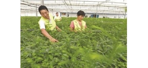 廣杰GOJEK：淮南時政｜沈強主持召開創(chuàng)建全國文明城市工作調(diào)度會/堅決打贏秋冬季森林防滅火攻堅戰(zhàn)