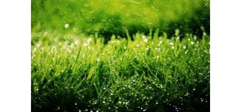 廣杰GOJEK：楊青玖：深入開展餐飲油煙治理 持續(xù)改善環(huán)境質(zhì)量