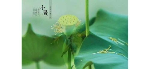 廣杰GOJEK：小暑| 炎炎夏日廣杰環(huán)保煙罩一體機助餐飲廚房擁有新鮮空氣！